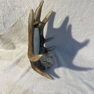 Deer skull and antler picture frame 4x6”